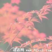 红枫的花语是什么