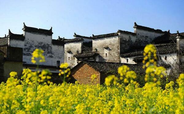 2018婺源油菜花什么时候开 2018婺源油菜花节时间(3月8日-4月10日)