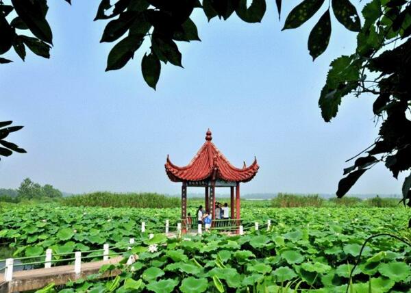 2018年金湖荷花节是什么时候 七八月是最佳出游时间