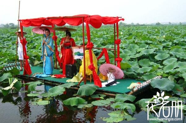 2018周口淮阳荷花节什么时候 淮阳荷花什么时候开(七月荷香)