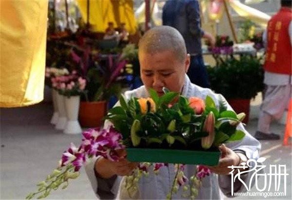 供佛用什么鲜花，佛前供花注意事项（莲花是首选）