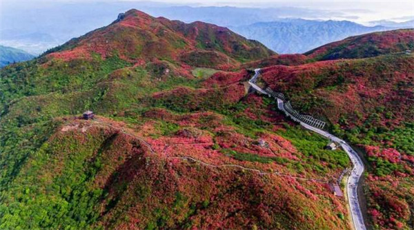 2018大围山杜鹃花节什么时候，大围山赏花攻略（4月25-5月20）